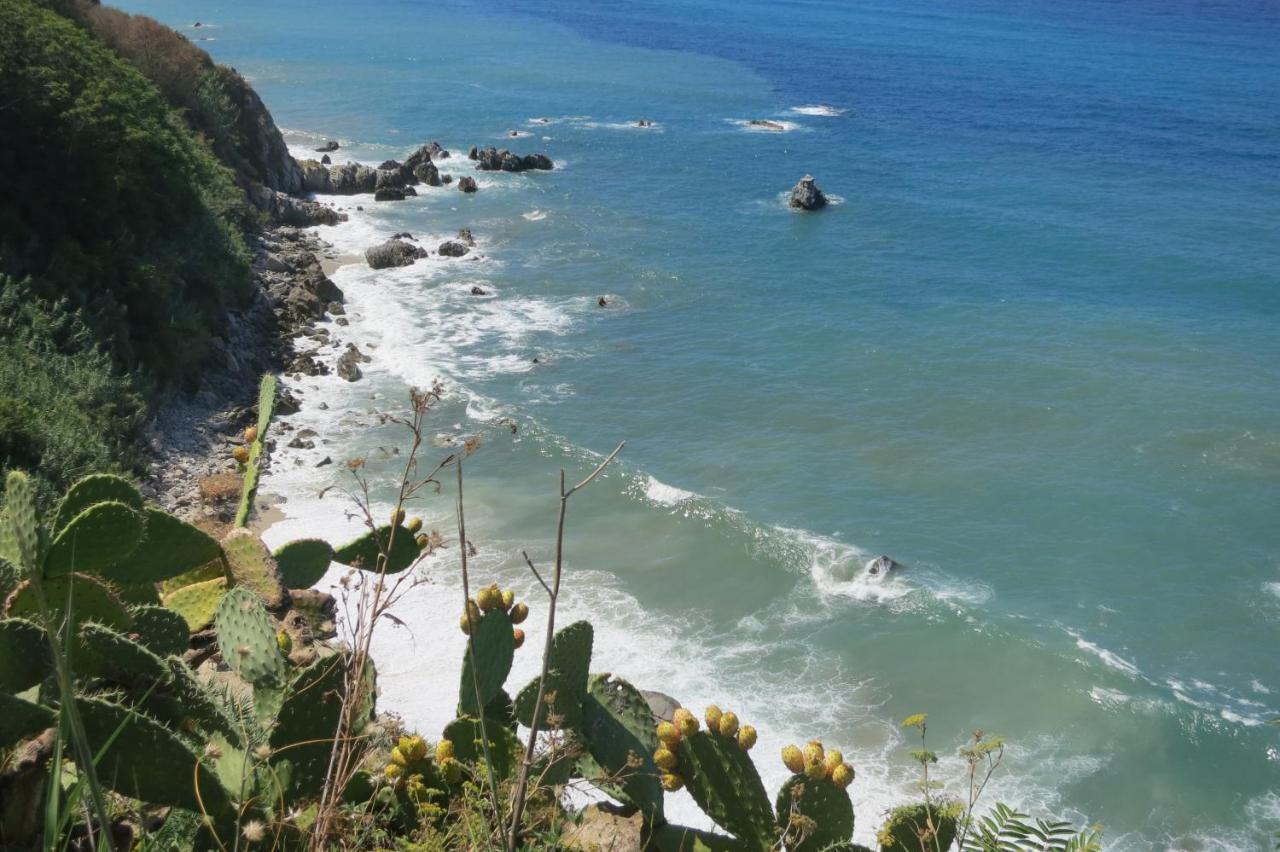 Il Limoneto, Casa Vacanze Parghelia-Tropea Villa Eksteriør billede