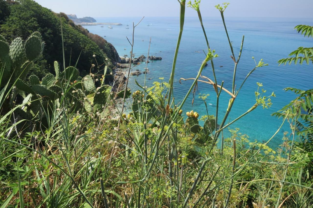 Il Limoneto, Casa Vacanze Parghelia-Tropea Villa Eksteriør billede