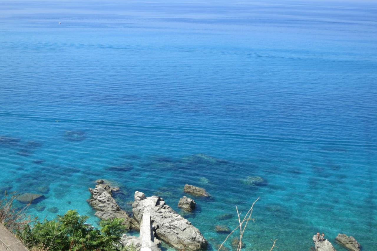 Il Limoneto, Casa Vacanze Parghelia-Tropea Villa Eksteriør billede